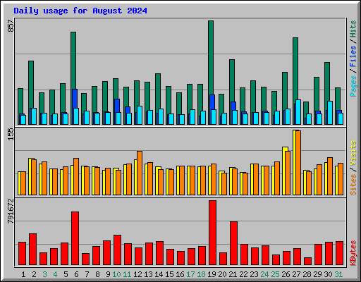 Daily usage for August 2024