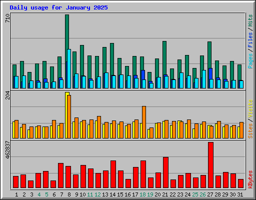 Daily usage for January 2025