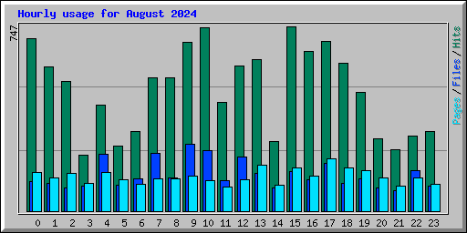 Hourly usage for August 2024
