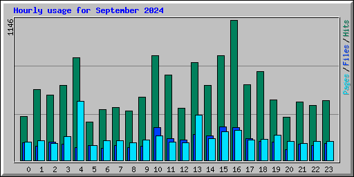 Hourly usage for September 2024