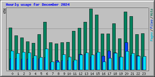 Hourly usage for December 2024