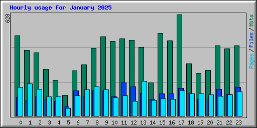 Hourly usage for January 2025