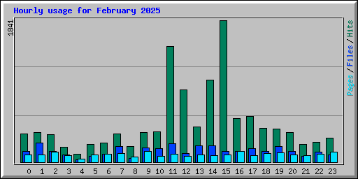 Hourly usage for February 2025