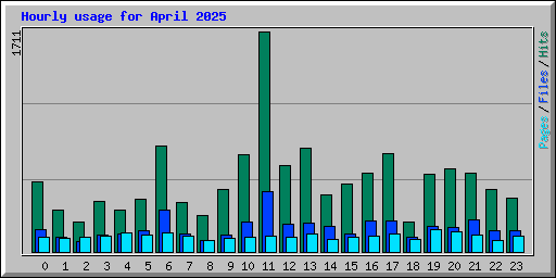 Hourly usage for April 2025