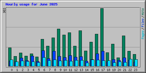 Hourly usage for June 2025